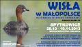 wisla